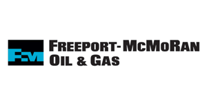 freeport mcmorgan oil and gas